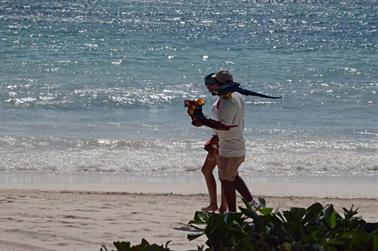 Dreams-Resort-und-Spa-Tulum, DSC_6876_b_H600Px